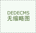 广发大盘成长混合